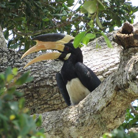 Wadula Safari - Yala Villa Kataragama Luaran gambar