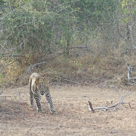 Wadula Safari - Yala Villa Kataragama Luaran gambar