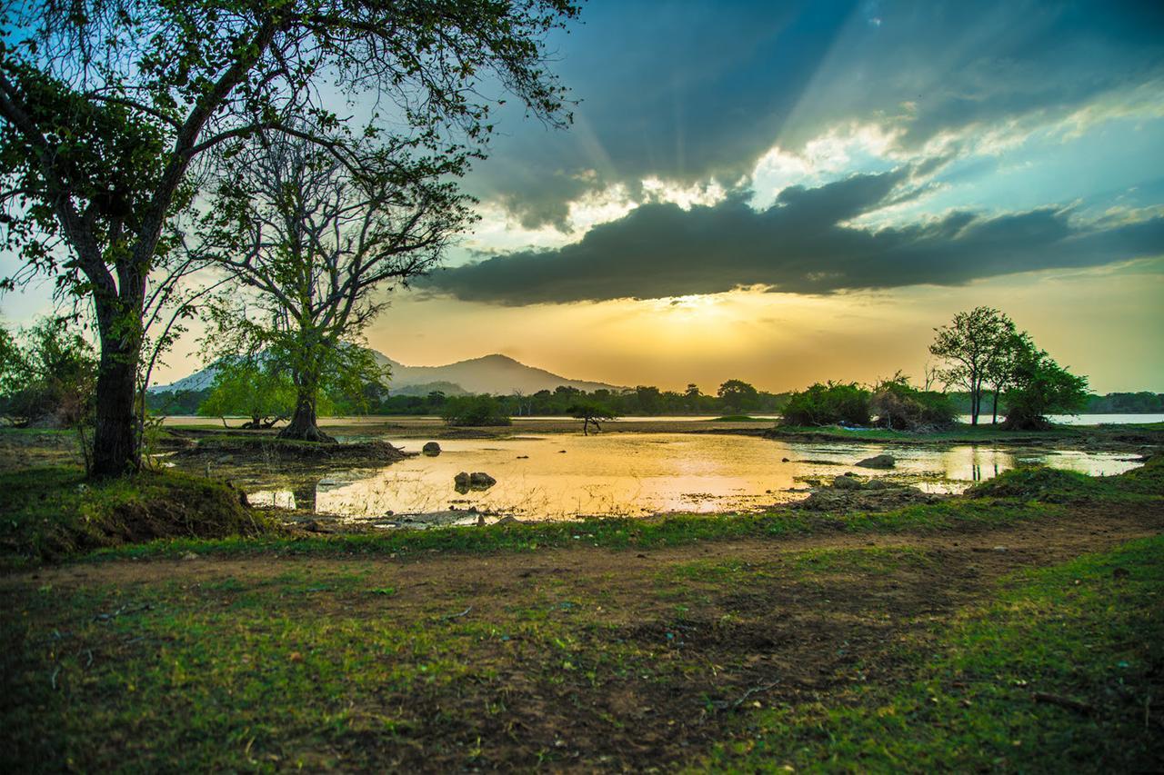 Wadula Safari - Yala Villa Kataragama Luaran gambar
