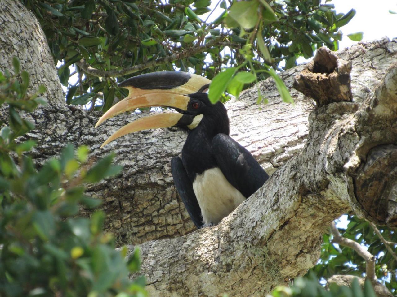 Wadula Safari - Yala Villa Kataragama Luaran gambar