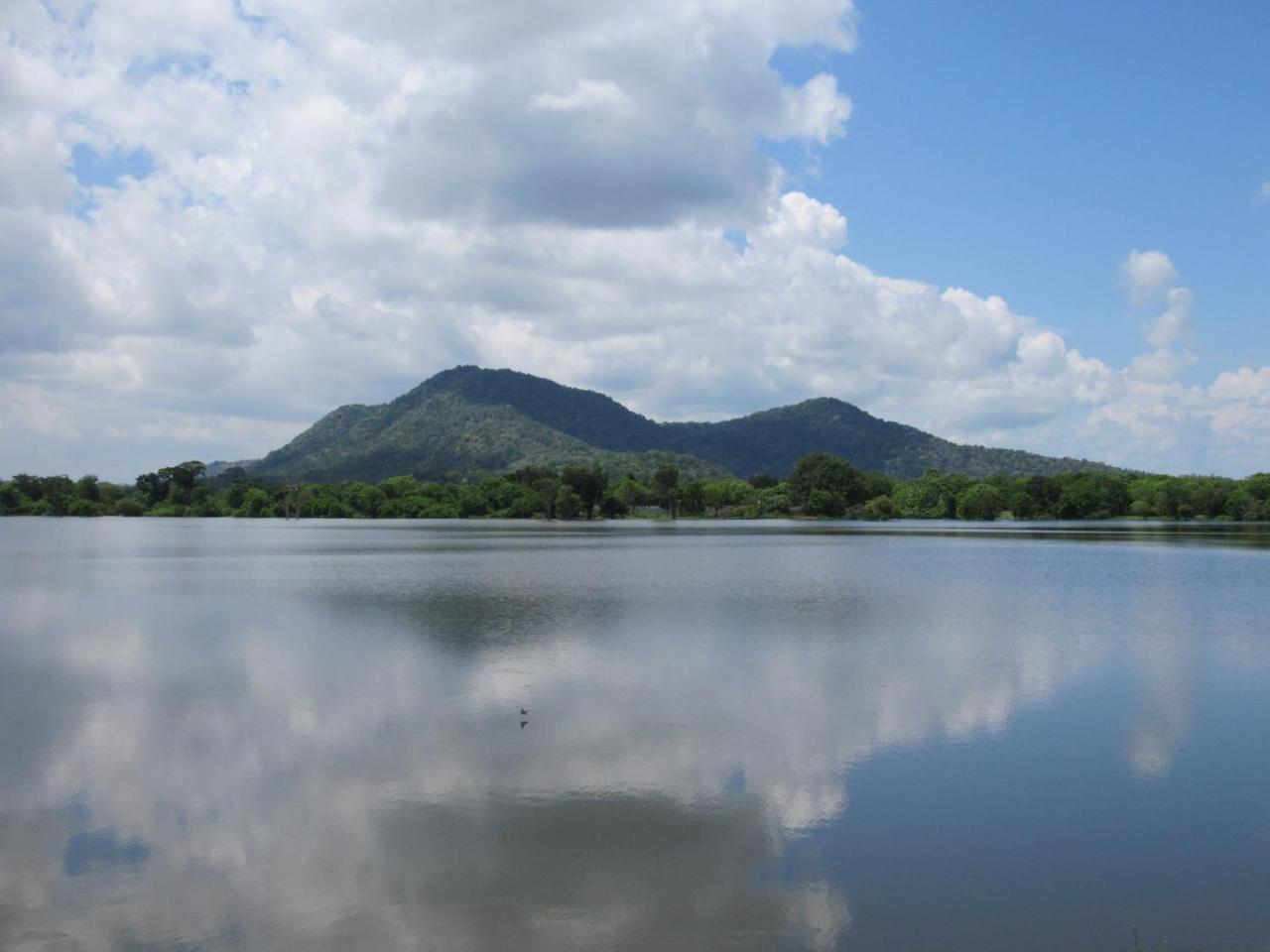 Wadula Safari - Yala Villa Kataragama Luaran gambar