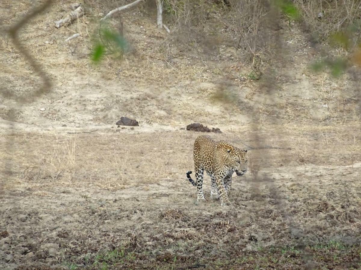 Wadula Safari - Yala Villa Kataragama Luaran gambar